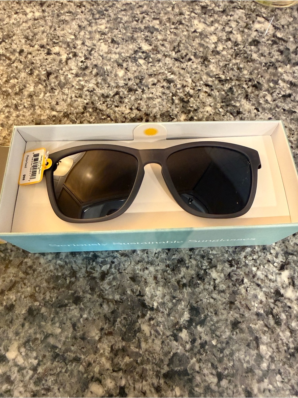 Men's Polarized Sunglasses - Matte Gray Frame, Black Lenses